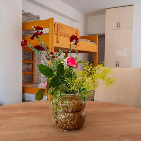 Apartament My Dalmatia - Blagdan With Private Parking *