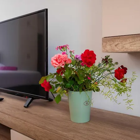 My Dalmatia - Blagdan With Private Parking 公寓 扎达尔